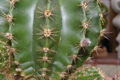 20090526_24.JPG