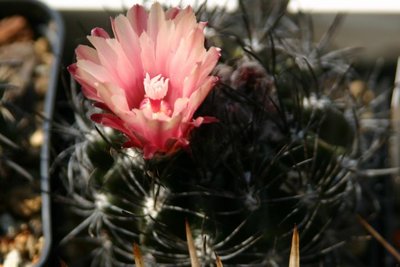 K640_IMG_7676.JPG