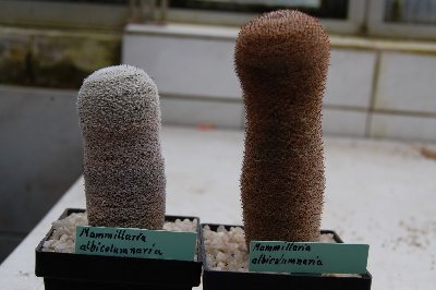 DSC_0016.JPG