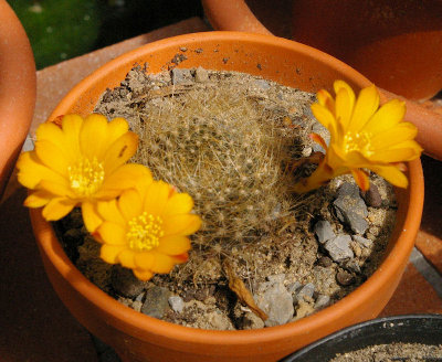 20090531_19.JPG