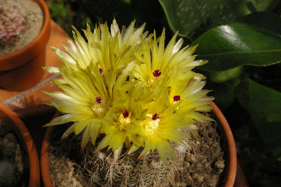 20090614_42.JPG