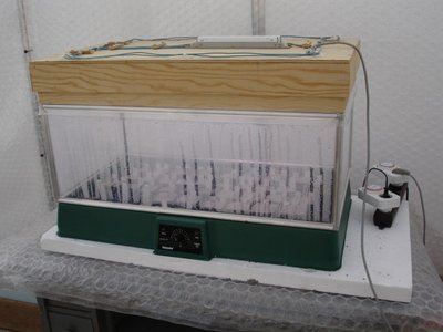 Aussaatkiste mit Beleuchtung (600 x 450).jpg