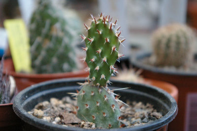 20090531_7.JPG