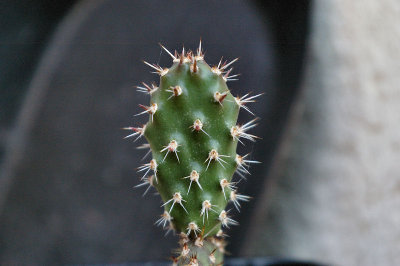 20090622_1.JPG
