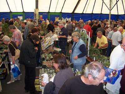 ELK2010 Zelt_b.jpg