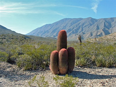 DSCF0033.JPG