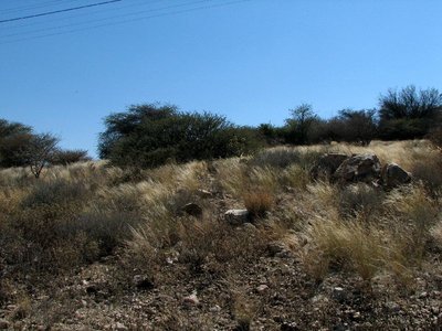 IMG_8416.jpg