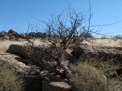 IMG_8444.jpg