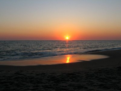 IMG_8529.jpg