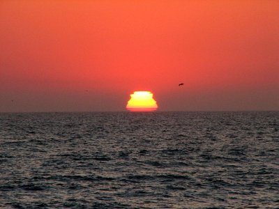 IMG_8538.jpg