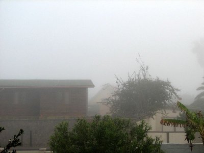 IMG_8548.jpg