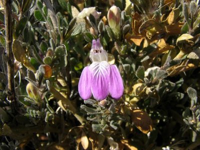IMG_8641.jpg