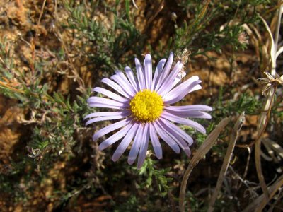 IMG_8658.jpg