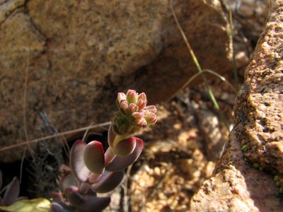 IMG_8666.jpg