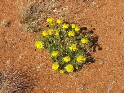 IMG_8704.jpg