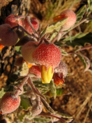 IMG_8767.jpg