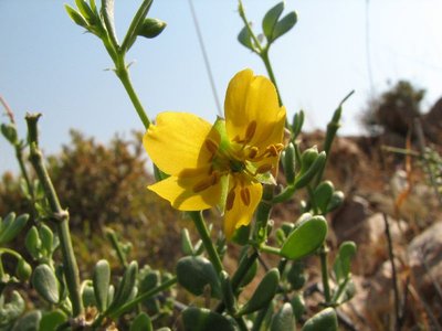 IMG_8876.jpg