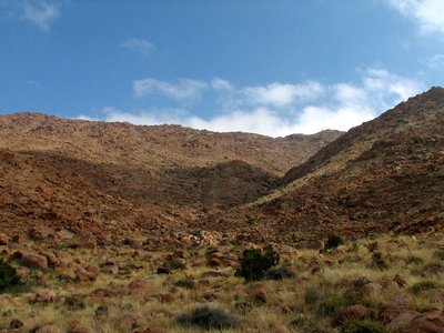 IMG_8946.jpg