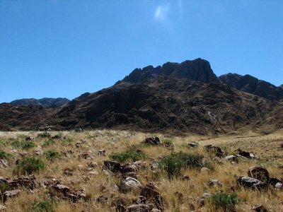 IMG_9050.jpg