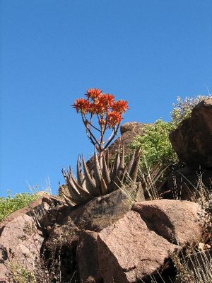 IMG_9046.jpg