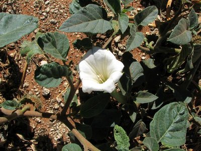 IMG_9142.jpg