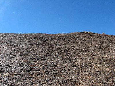 IMG_9096.jpg
