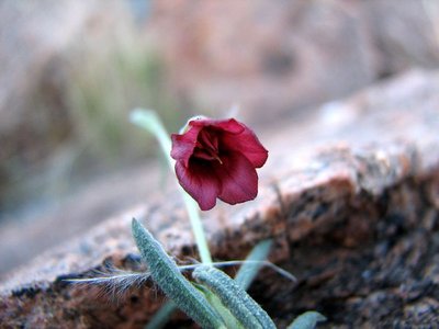 IMG_9193.jpg