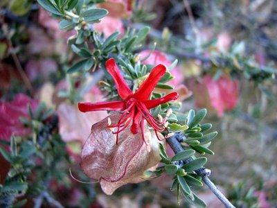 IMG_9199.jpg