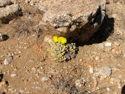 IMG_9308.jpg