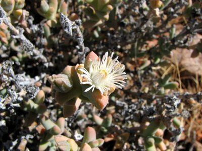 IMG_9367.jpg