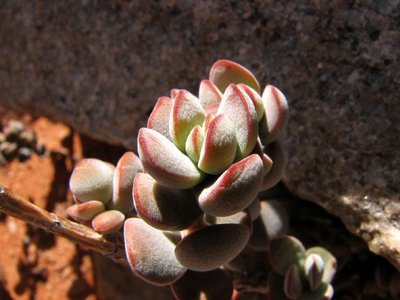 IMG_9415.jpg