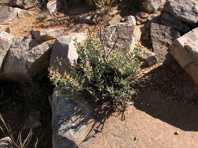 IMG_9486.jpg