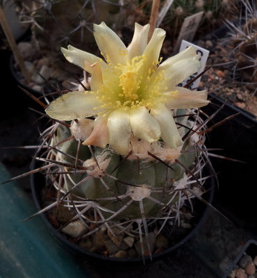 20111106_140507.jpg
