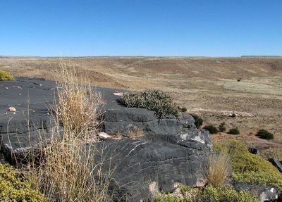 IMG_9667.jpg