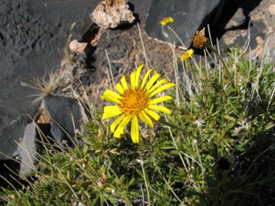 IMG_9778.jpg