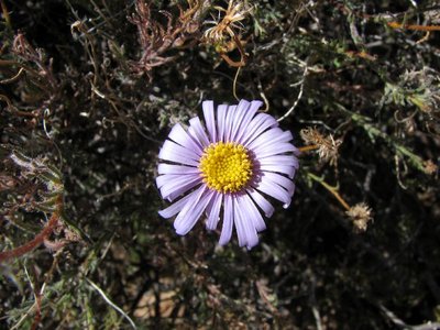 IMG_9790.jpg