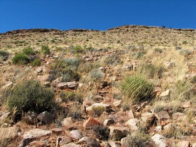 IMG_9807.jpg