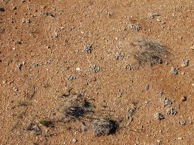 IMG_9860.jpg