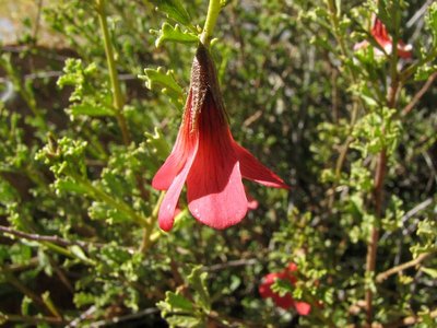 IMG_0007.jpg