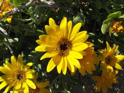 IMG_0079.jpg