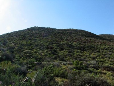 IMG_0116.jpg