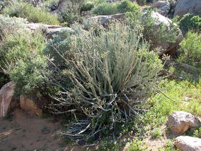 IMG_0159.jpg
