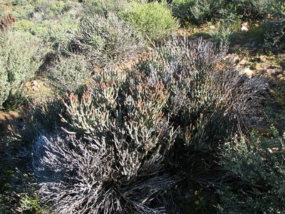 IMG_0143.jpg