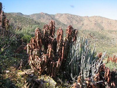 IMG_0142.jpg