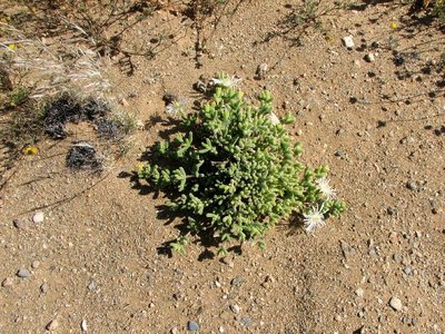 IMG_0190.jpg