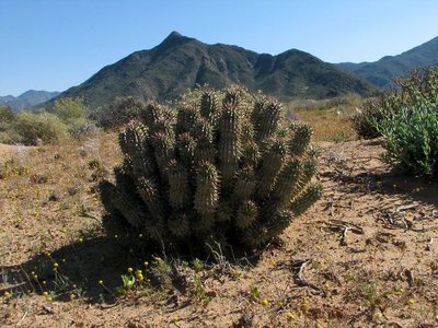 IMG_0195.jpg