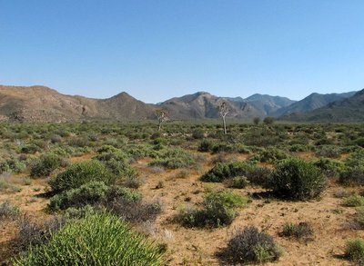 IMG_0236.jpg