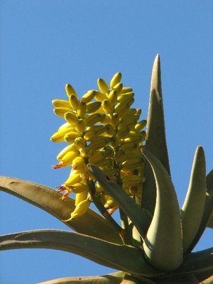 IMG_0254.jpg