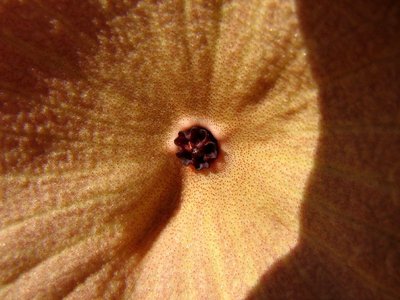 IMG_0312.jpg