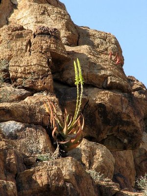 IMG_0364.jpg